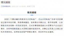 3.15在行動！假海螺水泥“泛濫”！