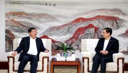 太慘了！大跌235元/噸！水泥產量創10年最大跌幅！